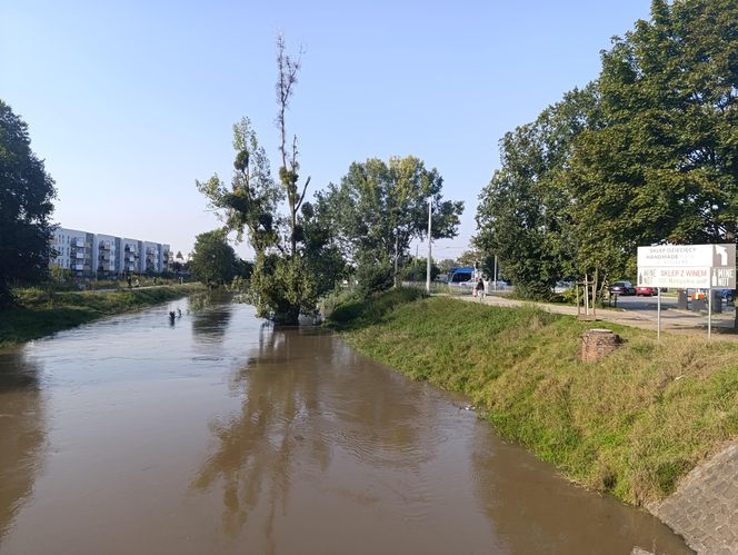 Stan rzeki Ślęza cały czas się podnosi. Przekroczono już stan alarmowy. Jak wygląda sytuacja?