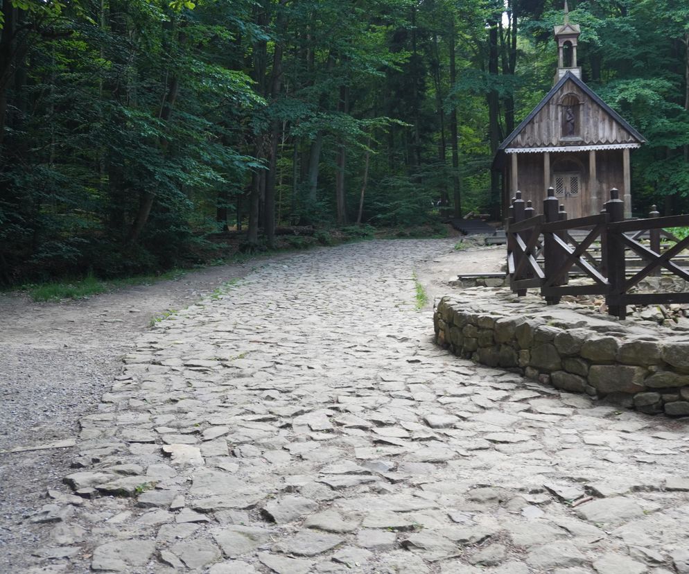 Wypięknieje szlak turystyczny ze Świętej Katarzyny na Łysicę. Sprawdź, co się zmieni