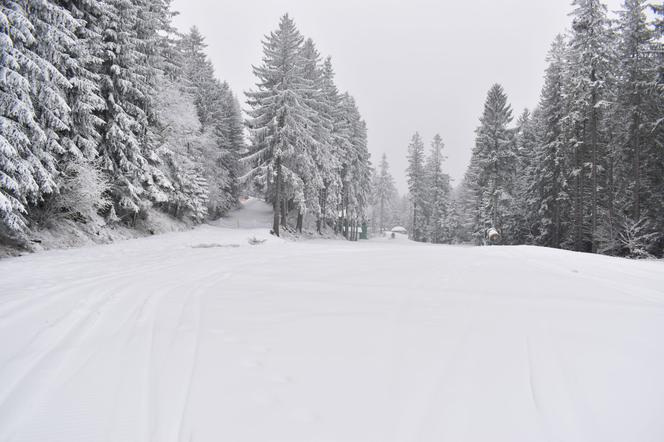 Winterpol Karpacz Biały Jar