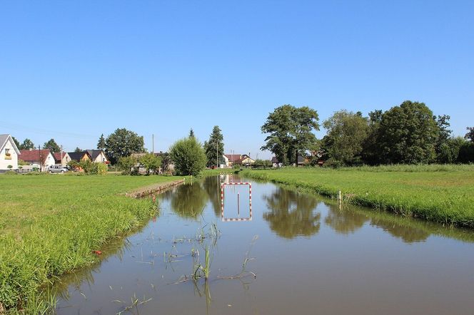 Ścinawa Niemodlińśka w gminie Korfantów