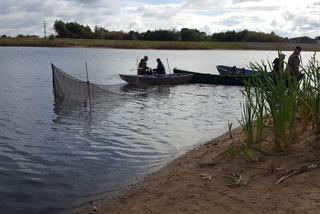 Zbiornik wodny w Rydzynie umiera. Zaczęło sie ratowanie ryb