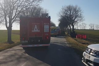 Śmiertelny wypadek pod Nysą. Cztery osoby zginęły po uderzeniu w drzewo