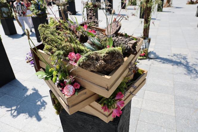 Weekend z florystyką w Lublinie. Zobacz imponujące roślinne instalacje w centrum miasta!