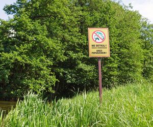 W Lublinie walczą z „zemstą Stalina”