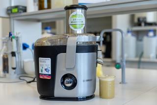 Sok z ziemniaka na raka