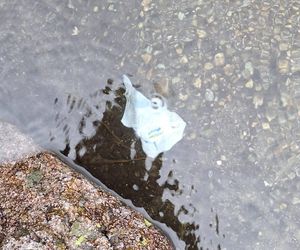 Morskie Oko zaśmiecone jak nigdy. To sprawka turystów. TPN opublikował zdjęcia.