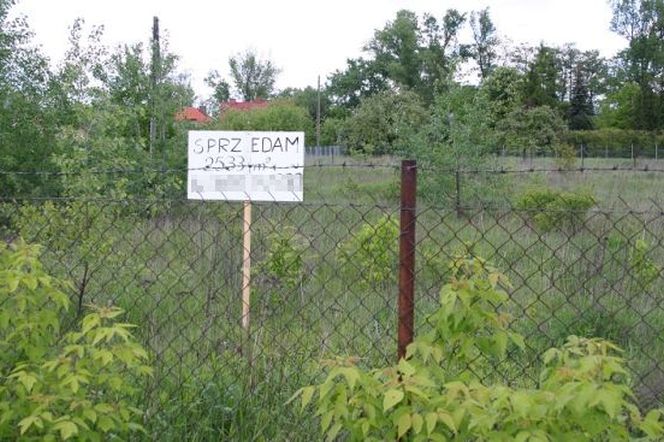 Działka, projekt, budżet