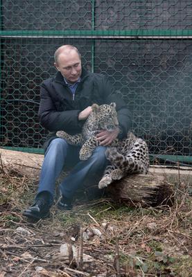 Soczi 2014, Władymir Putin ze śnieżną panterą