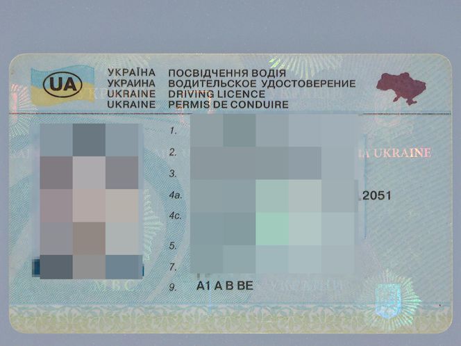 Fałszywe prawo jazdy na granicy