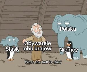 Memy o Śląsku i Ślązakach