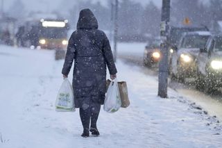 Pogoda LUTY 2025 - atak zimy na początku miesiąca, a później uderzenie wiosny? Prognoza