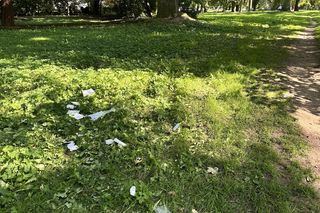 Dramat w parku w Pasłęku. Dwóch nastolatków ugodzonych nożem