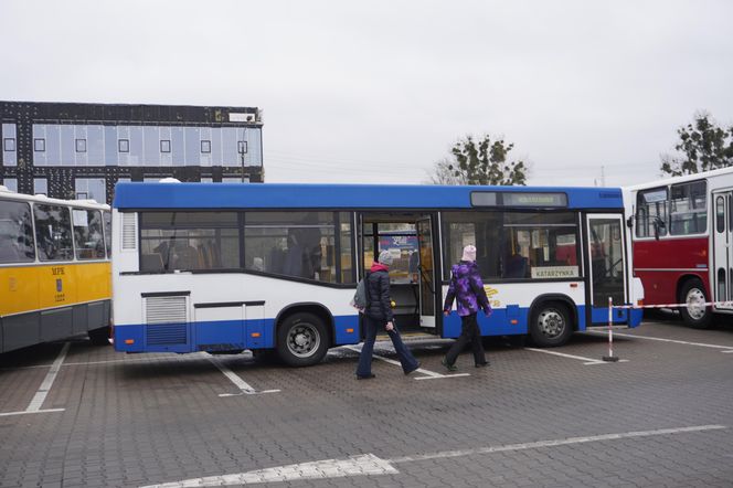 Katarzynki 2024 - wystawa autobusów przy Galerii Panorama