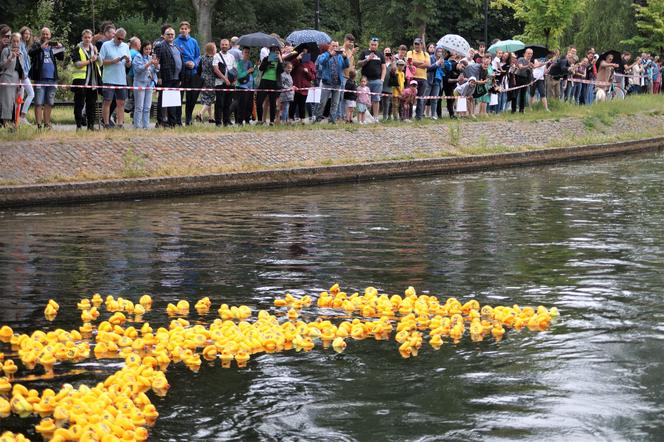 Ster na Bydgoszcz 2023. V Charytatywny Wyścig Kaczek Rotary [ZDJĘCIA]