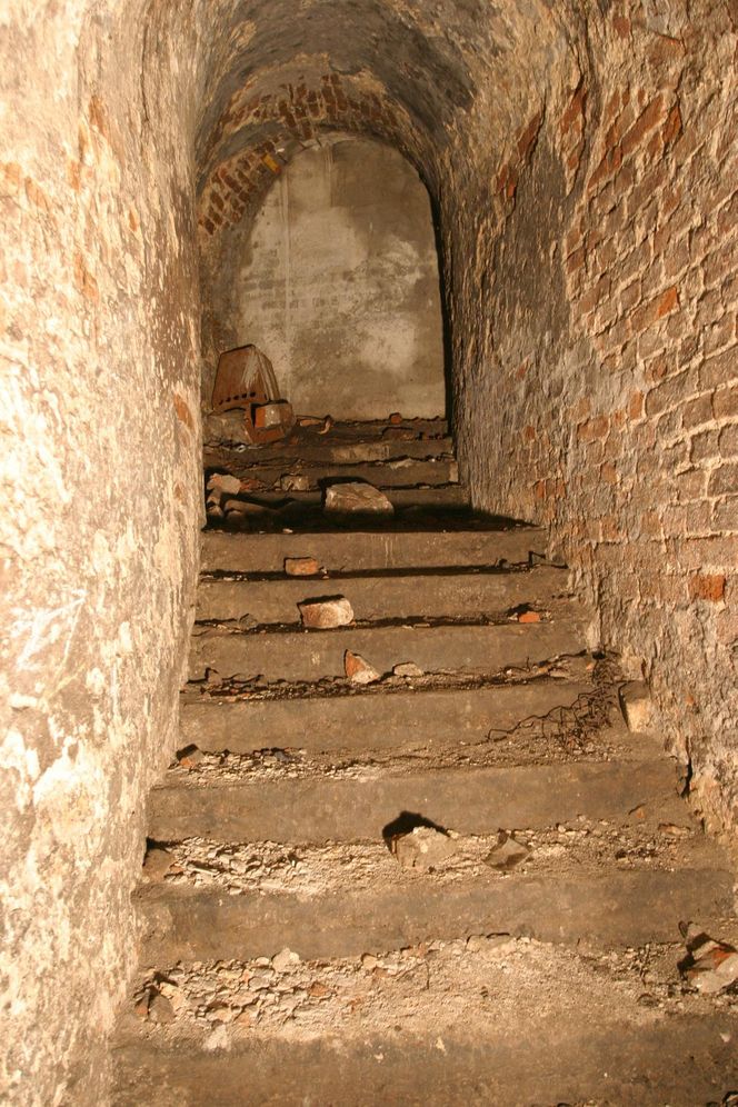 Oto najbardziej tajemnicze miejsce w Warszawie. Elizeum w parku Rydza-Śmigłego