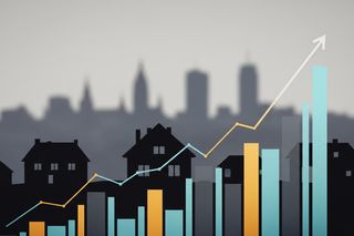 Opłata małpkowa w Łódzkiem. Które miasta zaskakują wynikami?