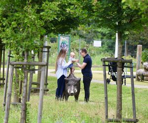 Miłosz Motyka. Energia rozpiera ministra