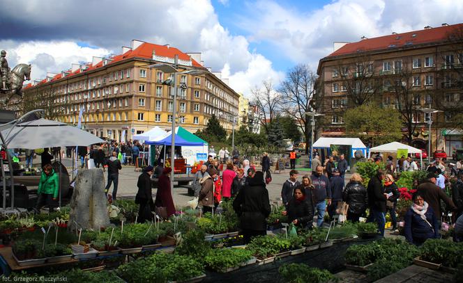 Targi Miasto-Ogród w Szczecinie
