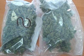 Tarnowscy policjanci przechwycili 1 kilogram marihuany