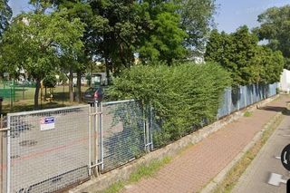 5. Szkoła Podstawowa nr 81 Fundacji Rodzice Dzieciom 