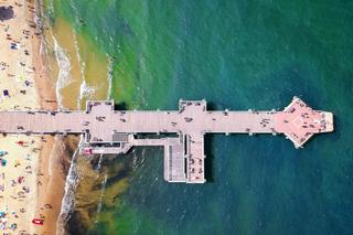 Zakwit sinic Bałtyk