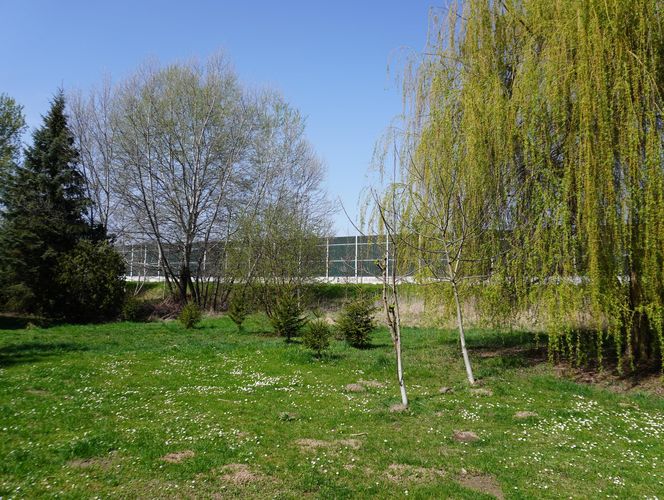 Wiosenny spacer po dzielnicy Sławinek w Lublinie