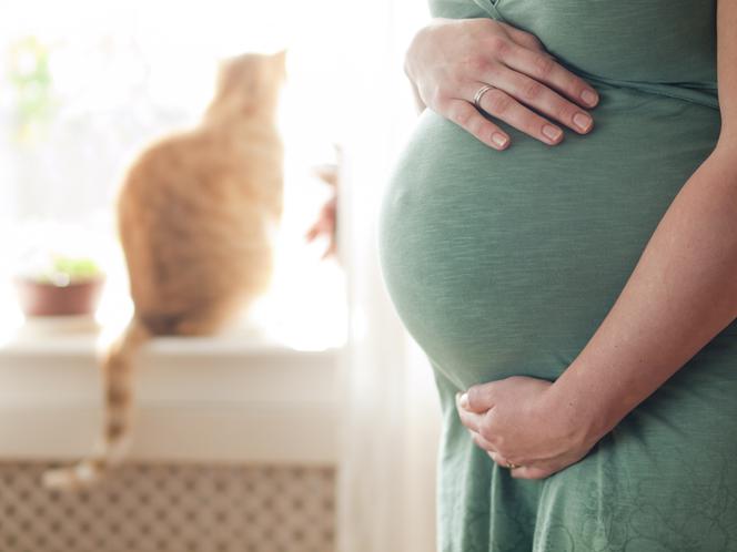 Co z kotem czy psem, gdy jesteś w ciąży? Zwierzęta domowe a dziecko