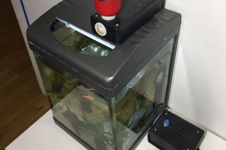 Automatyczny karmnik dla rybek. Smart Home na własną rękę