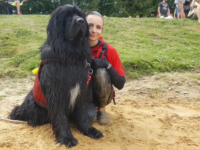 I Festiwal Psów Ratowniczych na plaży miejskiej w Żywcu