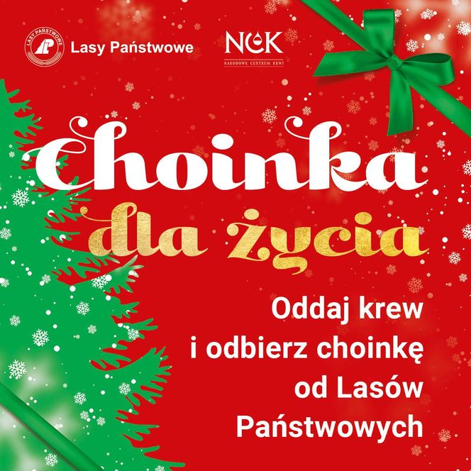 Oddaj krew, a otrzymasz świąteczne drzewko. Akcja „Choinka dla życia” Lasów Państwowych