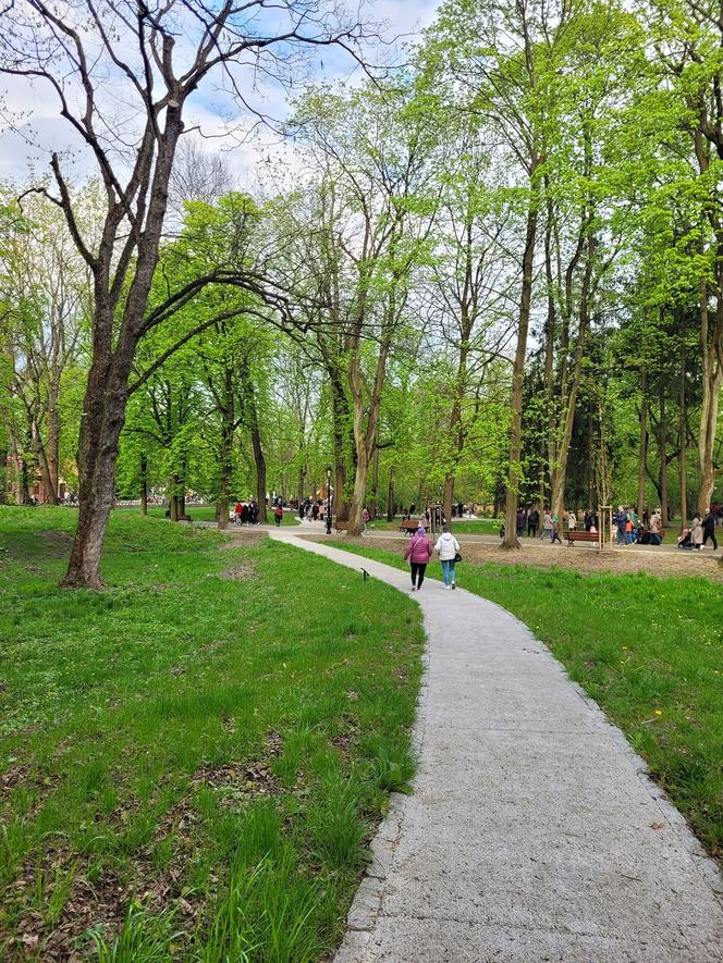 Kraków. Wyremontowany park Bednarskiego oficjalnie otwarty