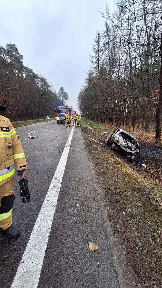 Samochód stanął w płomieniach. Śmiertelny wypadek pod Nową Dębą