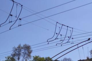 Gdańsk, Gdynia czy Sopot?