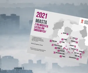 Polski Alarm Smogowy 2022. Najbardziej zanieczyszczone miasta województwa śląskiego