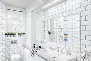 Prostokątne lustra łazienkowe: modne i praktyczne