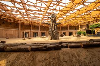 Jak zbudowano łódzkie Orientarium