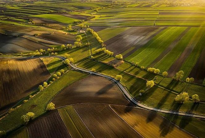 Piękne zdjęcia świętokrzyskich leśników