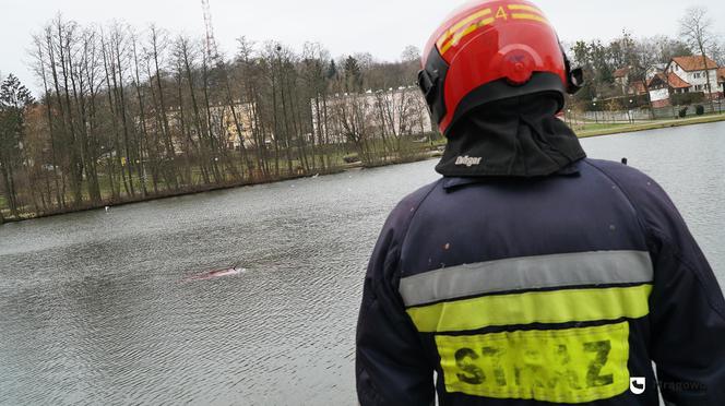 Mrągowo: Samochód wjechał do jeziora Magistrackiego