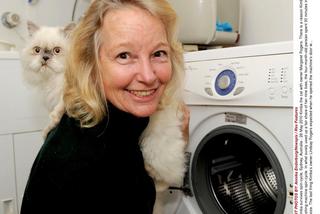 Kot wyprany w pralce