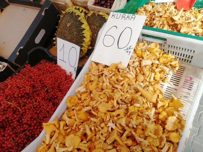 Ile kosztują grzyby w Krakowie? Ceny na targowiskach przyprawiają o zawrót głowy