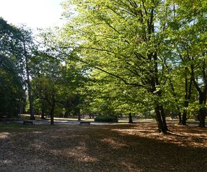 Park Konstytucji 3 Maja