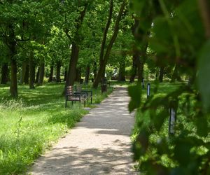 Uniwersytet w żałobie. Wzruszające pożegnanie zamordowanej Klaudii. To niewyobrażalna tragedia