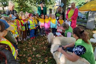 Dzień Przedszkolaka 2023. Mali łodzianie doskonale się bawili