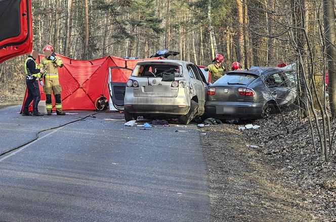 Wypadek w Jaworznie w Seacie zginęła matka, 2 letnie dziecko przeżyło.