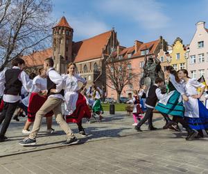 Dzień Jedności Kaszubów. Tak świętowali w Gdańsku [GALERIA]