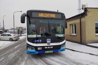 Zakochany autobus linii nr 18 można spotkać na ulicach Siedlec tylko w walentynki 2025!