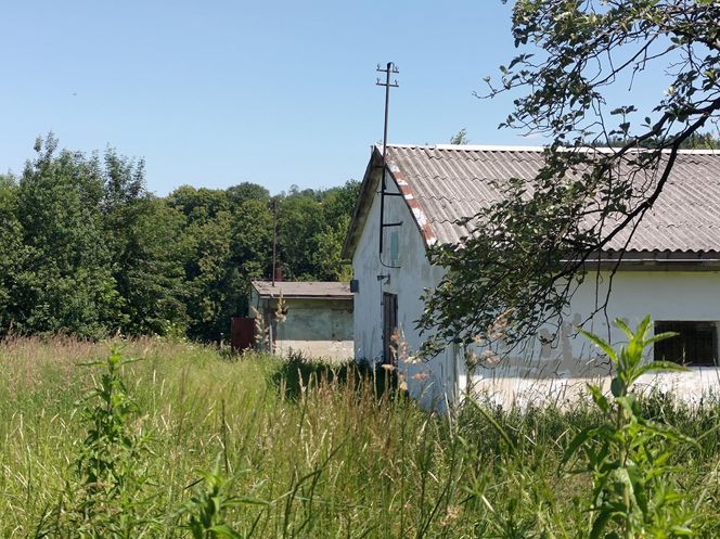 Kobieta zastrzelona na parkingu przy szkole. Znaleziono też ciało jej męża
