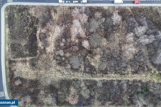 Zbiornik retencyjny powstanie w sypialni Poznania