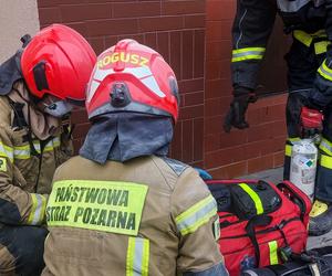 Pożar w wieżowcu na terenie Torunia. 7 zastępów straży w akcji