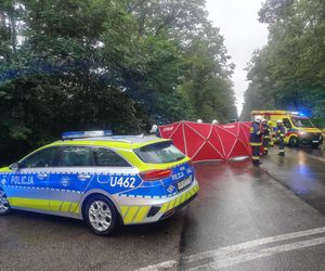 Śmiertelny wypadek na DK 69 pod Kępnem. Nie żyje dwóch kierowców 